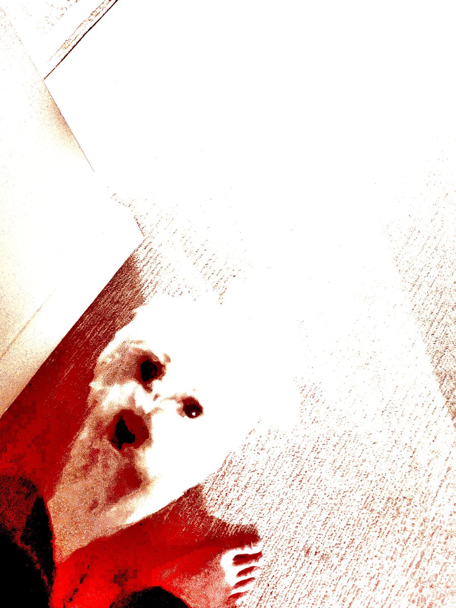 hfsiatfbggatjndgjkknbgjkegaff tweet media