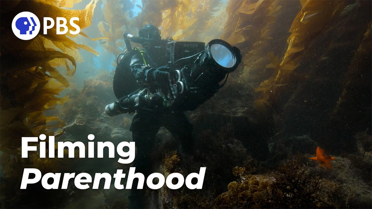 RED Digital Cinema tweet media