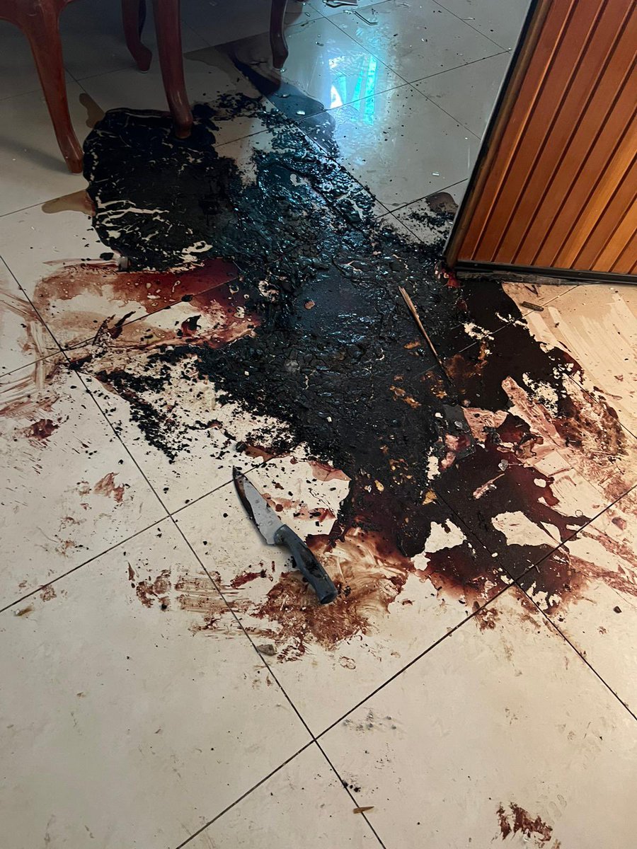 נועה מגיד | Noa magid tweet media