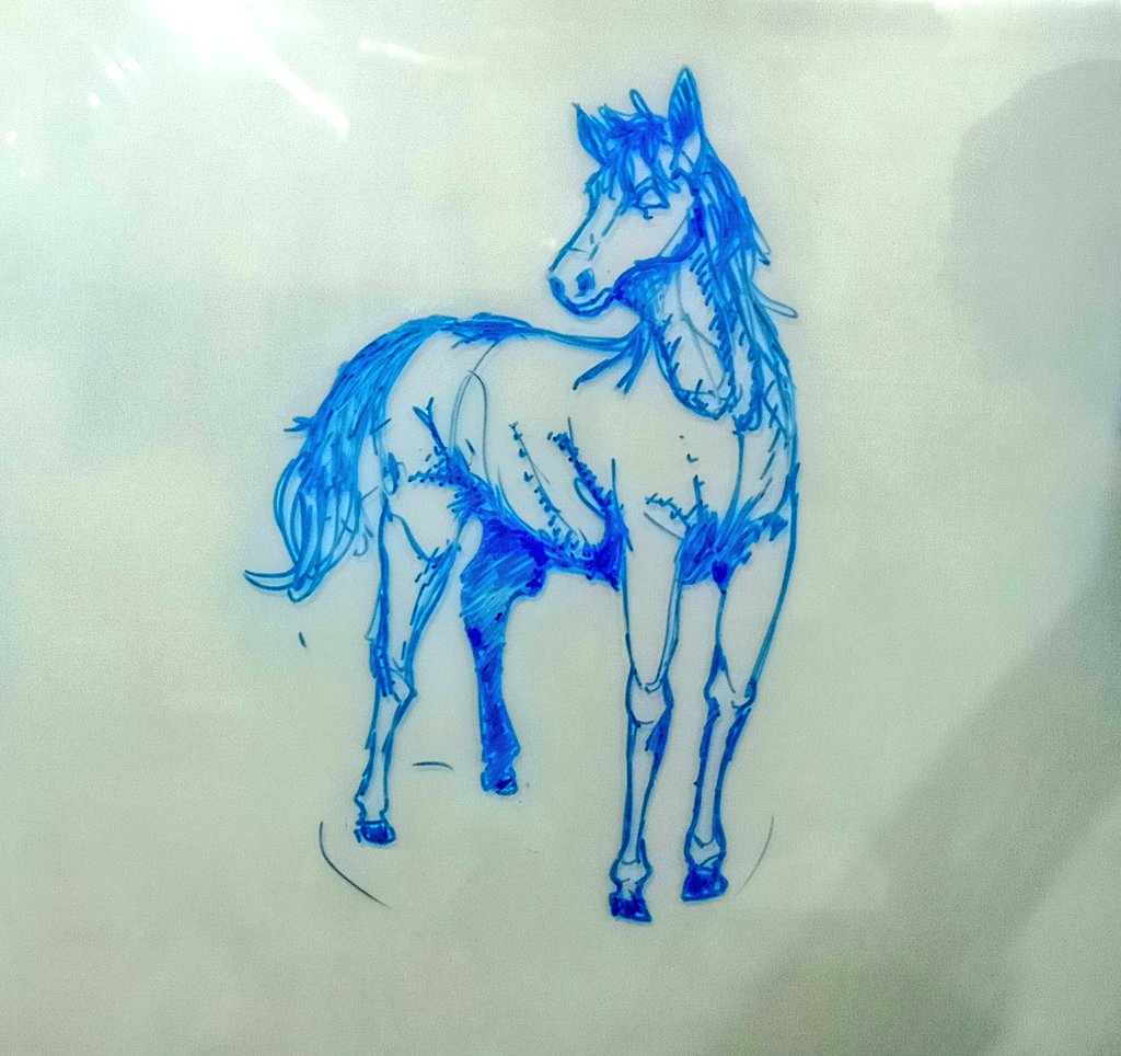 PreguinXtudo tweet media