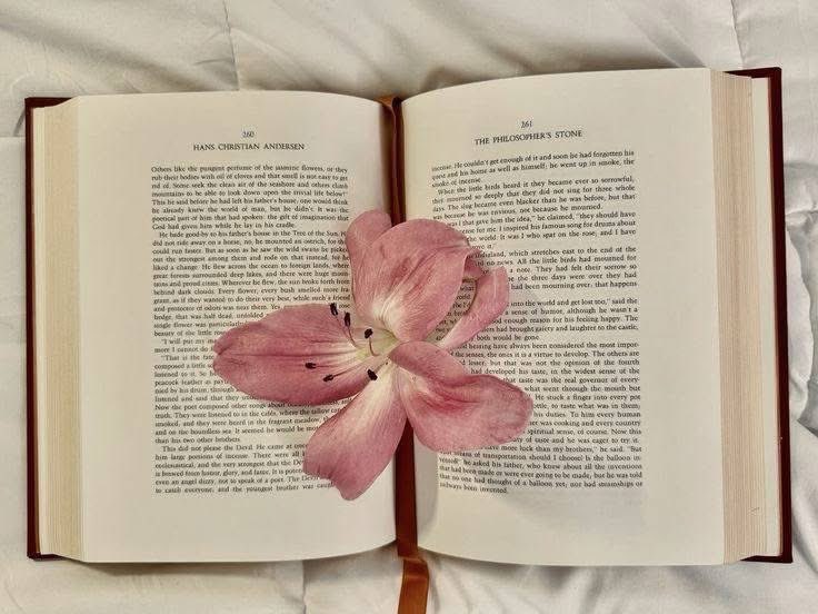 •☆• tweet media