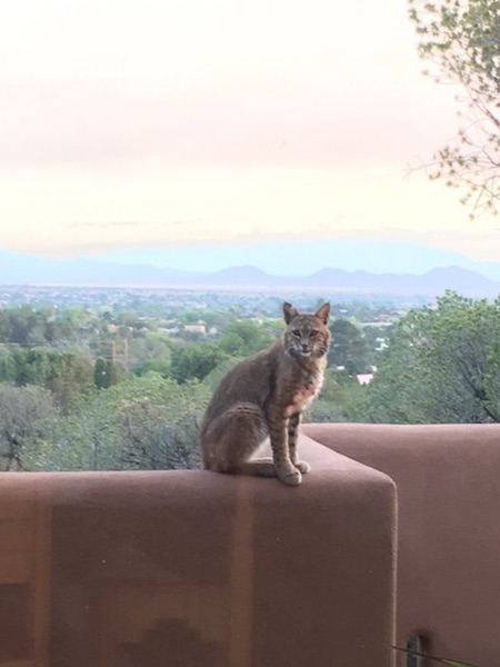 _DavidMorrell tweet media