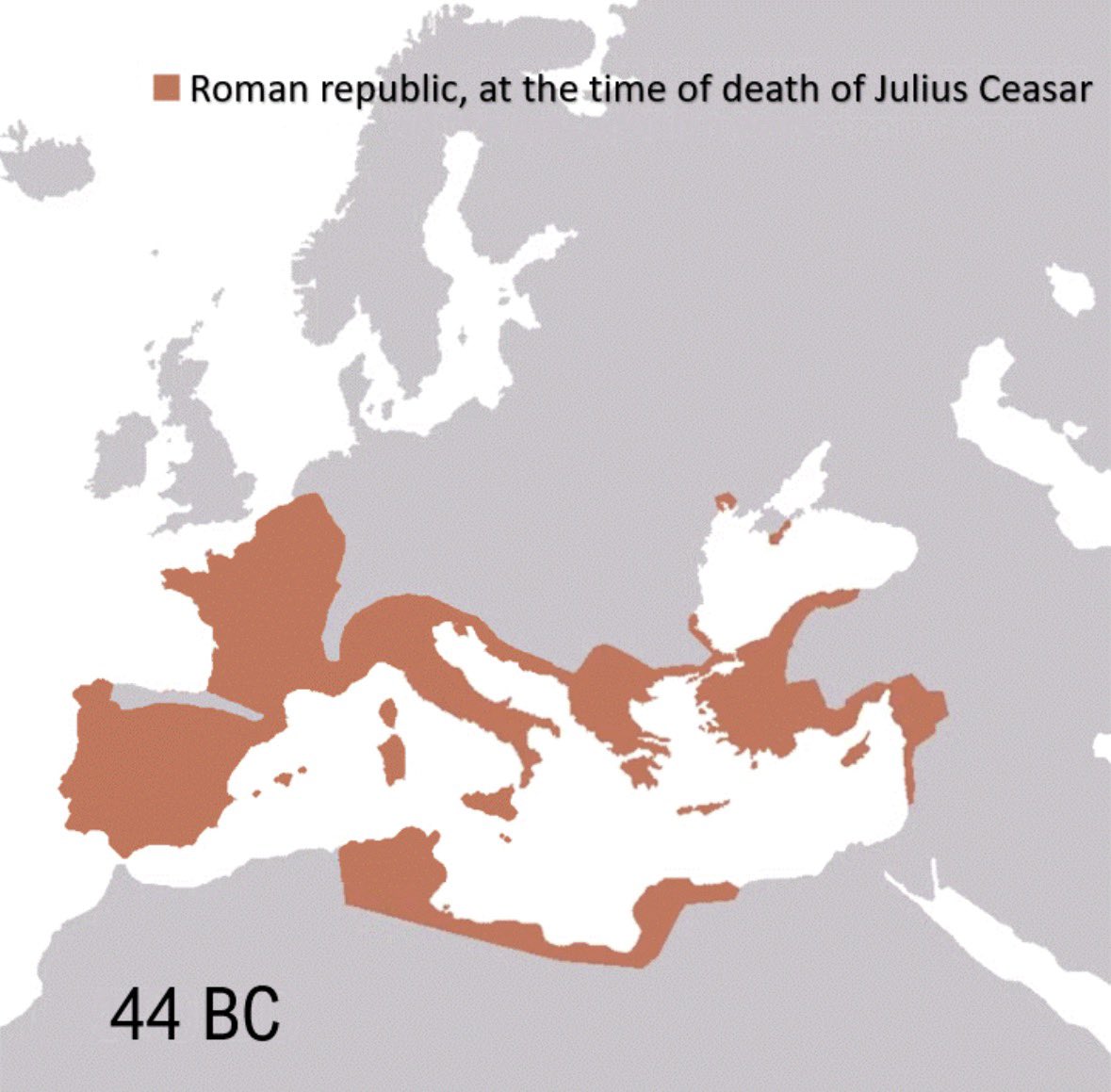 ::placeholder:: tweet media