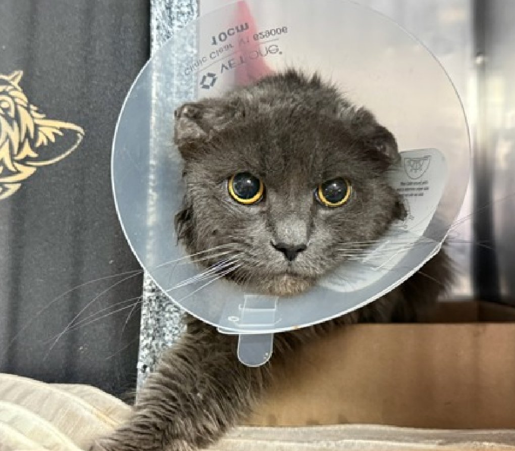 Jack5928 tweet media