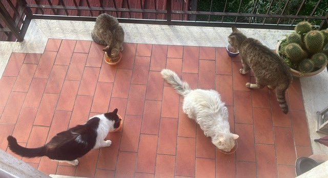 Legend88 tweet media