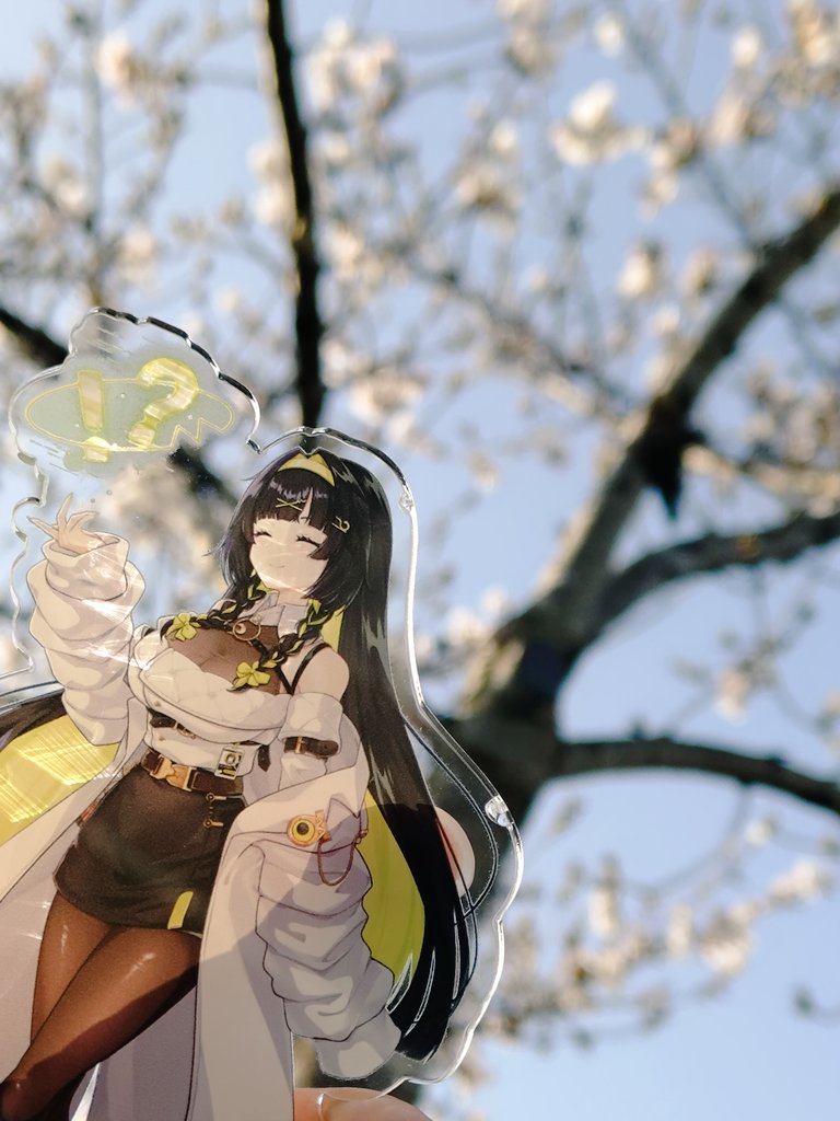 K2 #ぽ信 #観測者 ✂️🍊🐈⁉️ tweet media