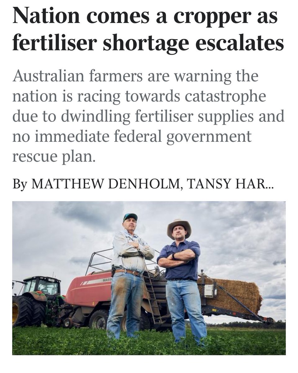 Menachem Vorchheimer tweet media