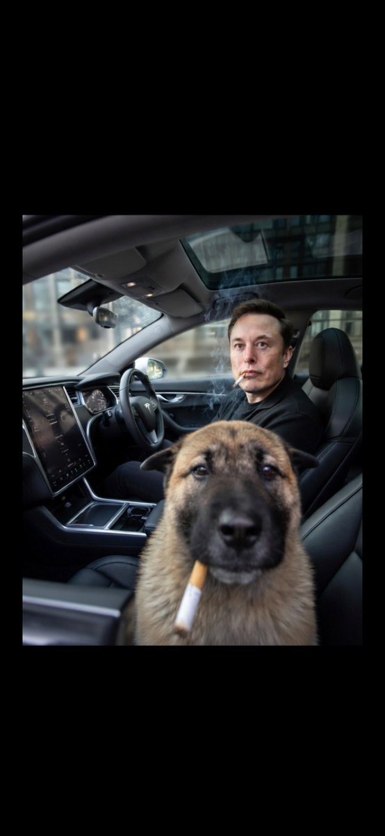 lea lebon tweet media