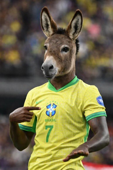 Fluminense pagode tweet media