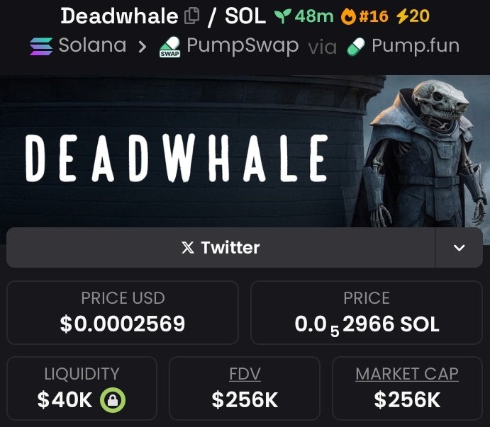 CAPTAIN 🚨🏴 tweet media