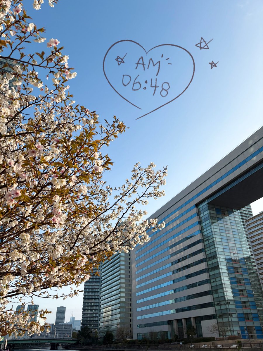 JVCケンウッド・公共産業システム tweet media