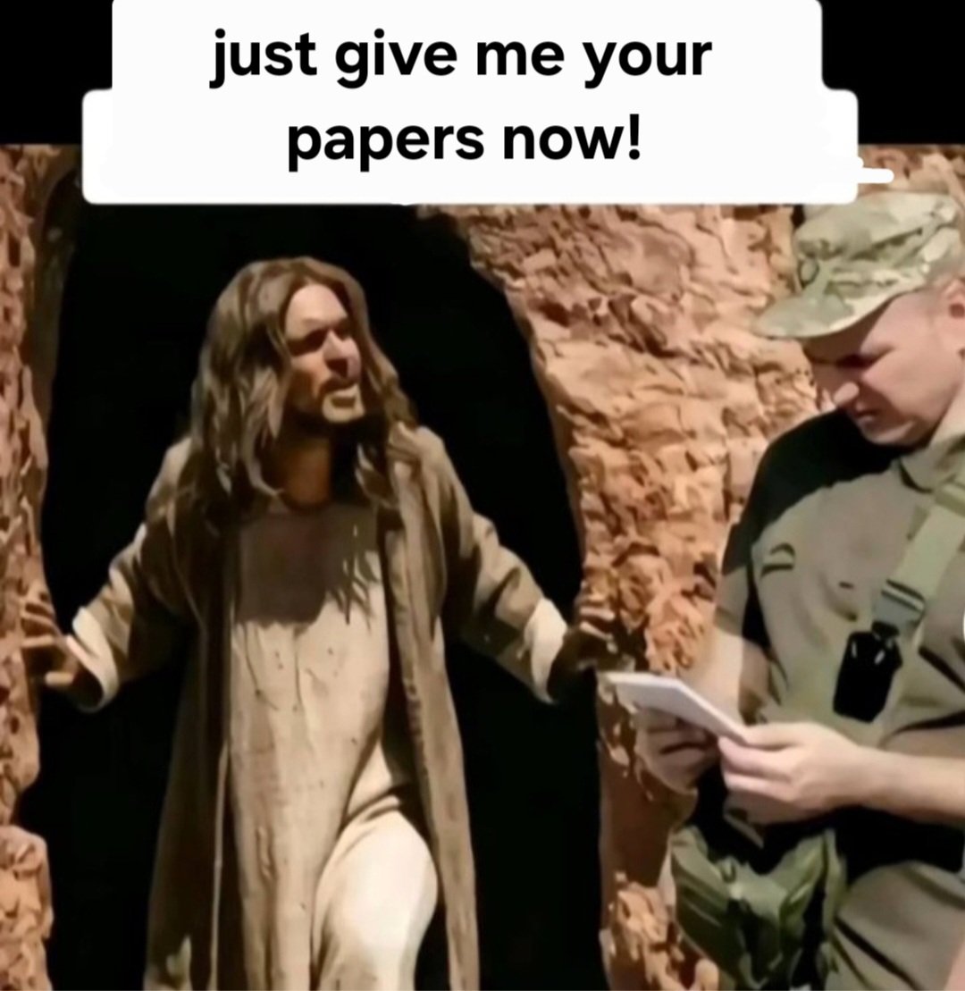 DogsAreBetter tweet media