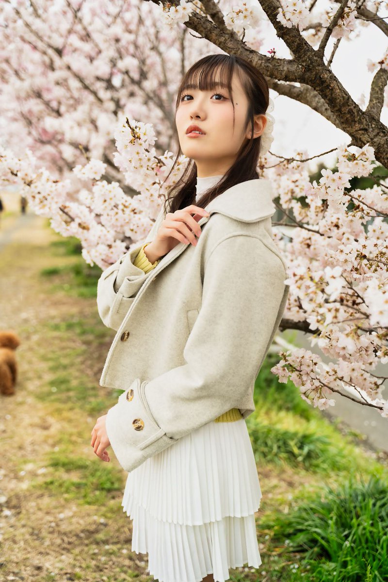 tatsu@📷用 tweet media