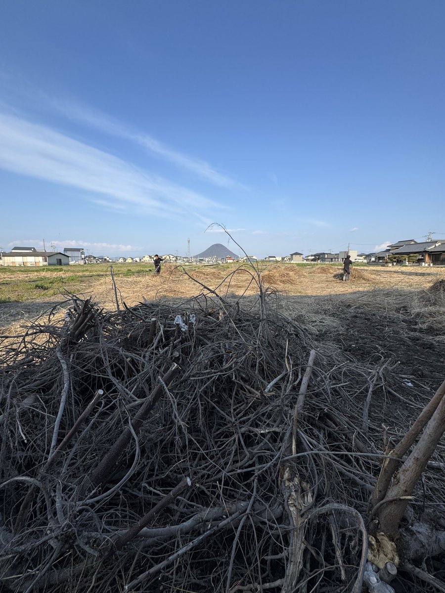 Tomoya🥬きゃべお/ tweet media