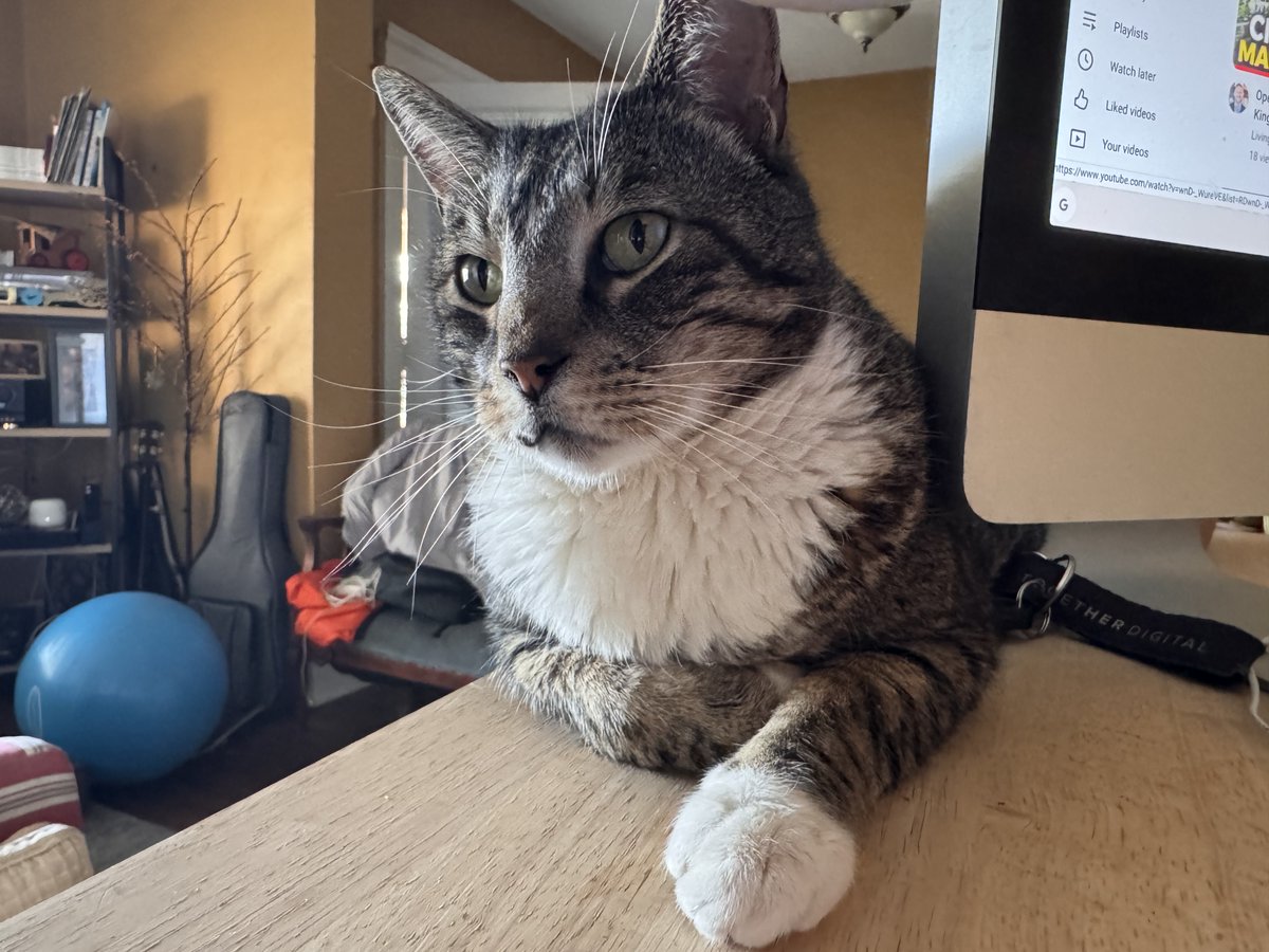 Ben Nash tweet media