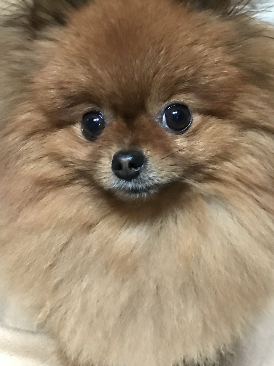 小林 麟太郎 tweet media