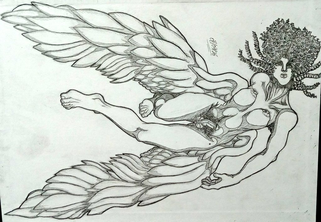 PreguinXtudo tweet media