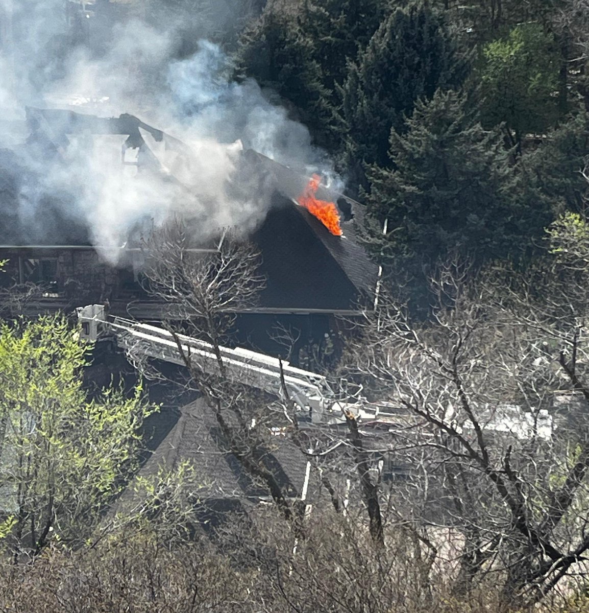 SLCScanner tweet media