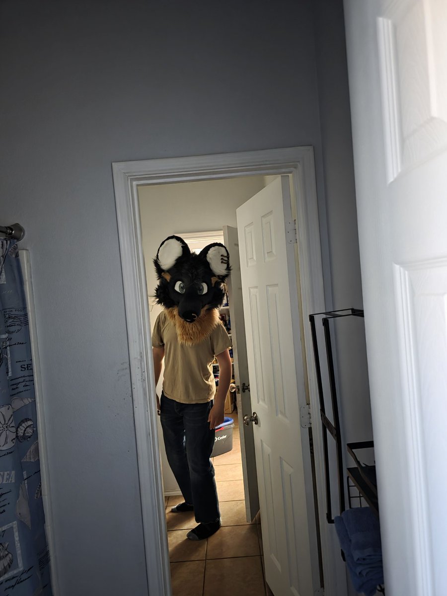 Hank the Hazardous tweet media