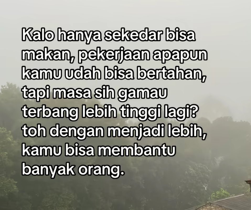 Gus Rogi 🦤 tweet media