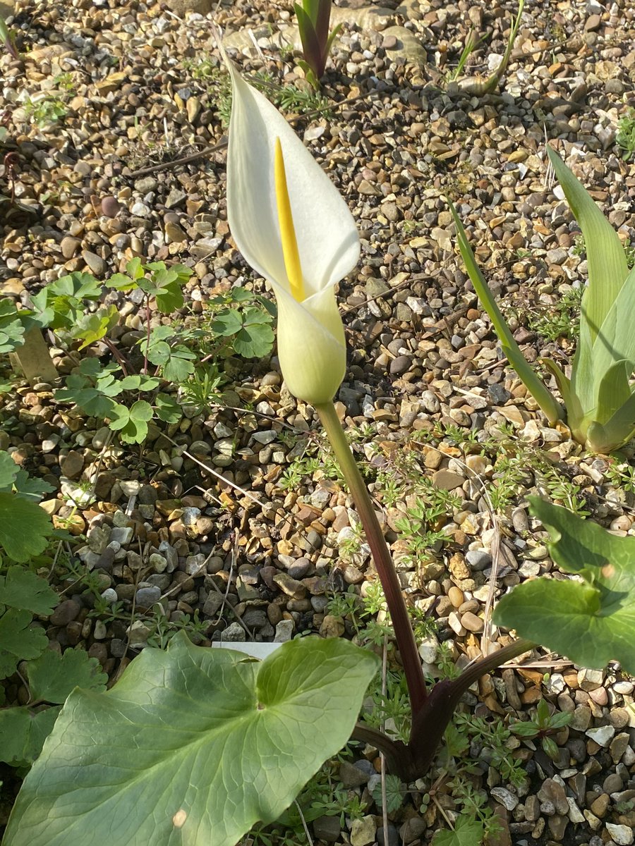 Michael Myers tweet media