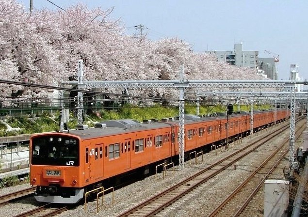 つばさ51号 tweet media