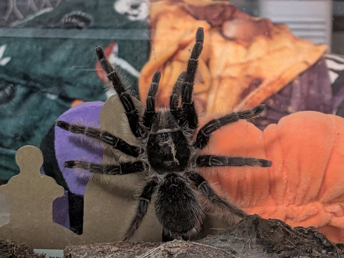 sam!! | shedtwt tweet media