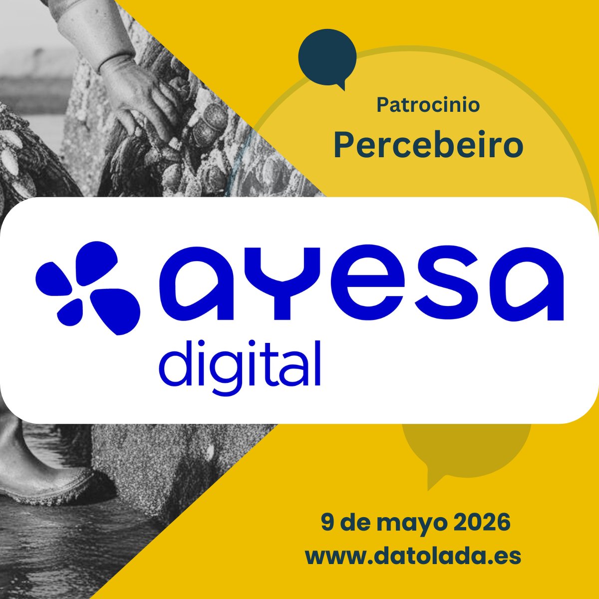 Datola | Comunidad de Analítica Digital tweet media