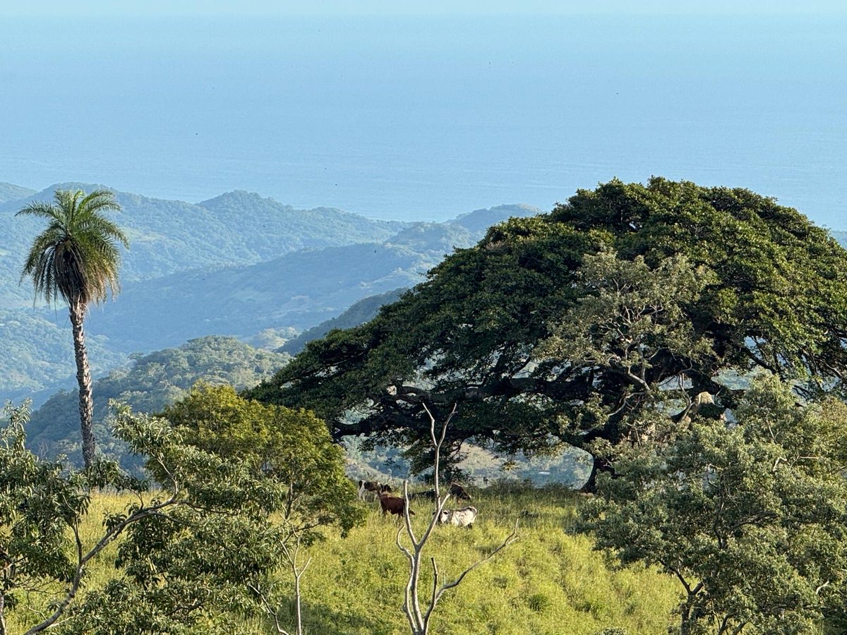 Will in paradise 🇸🇻 tweet media