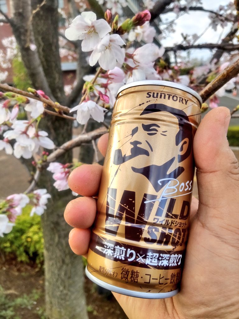 想太、 tweet media