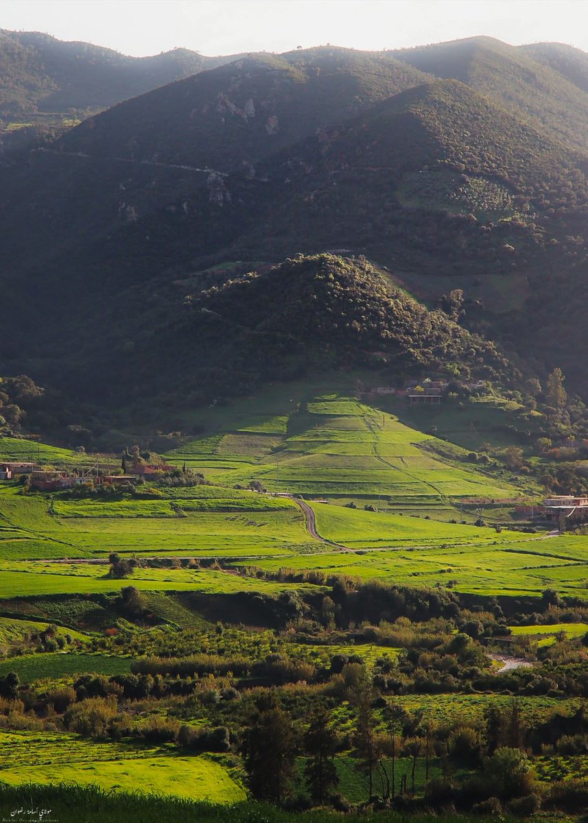 Ialgeria3's tweet photo. تـيبـازة جـبـال مـنـاصر.. ما شاء الله على بلادنا  🇩🇿⛰️🌿
#تيبازة #الجزائر https://t.co/9NsdxzBl1O
