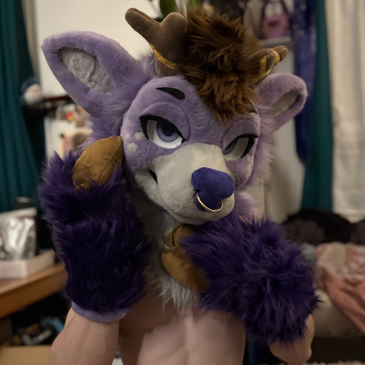 d'𝜶𝒏𝓽𝒆 🦌➡️ FAUN tweet media