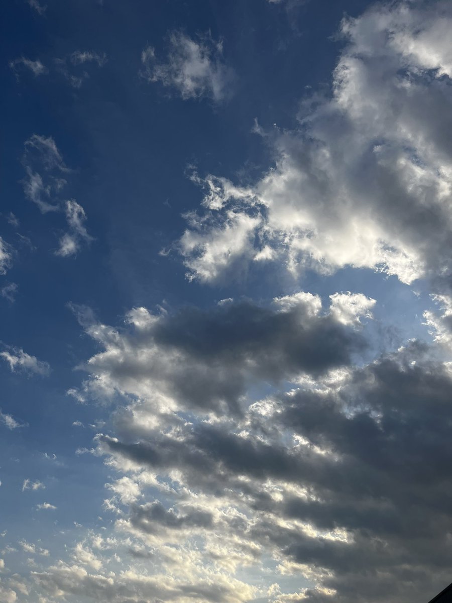 𝓪𝓷𝓰𝓮𝓵˚𝜗𝜚˚⋆ tweet media