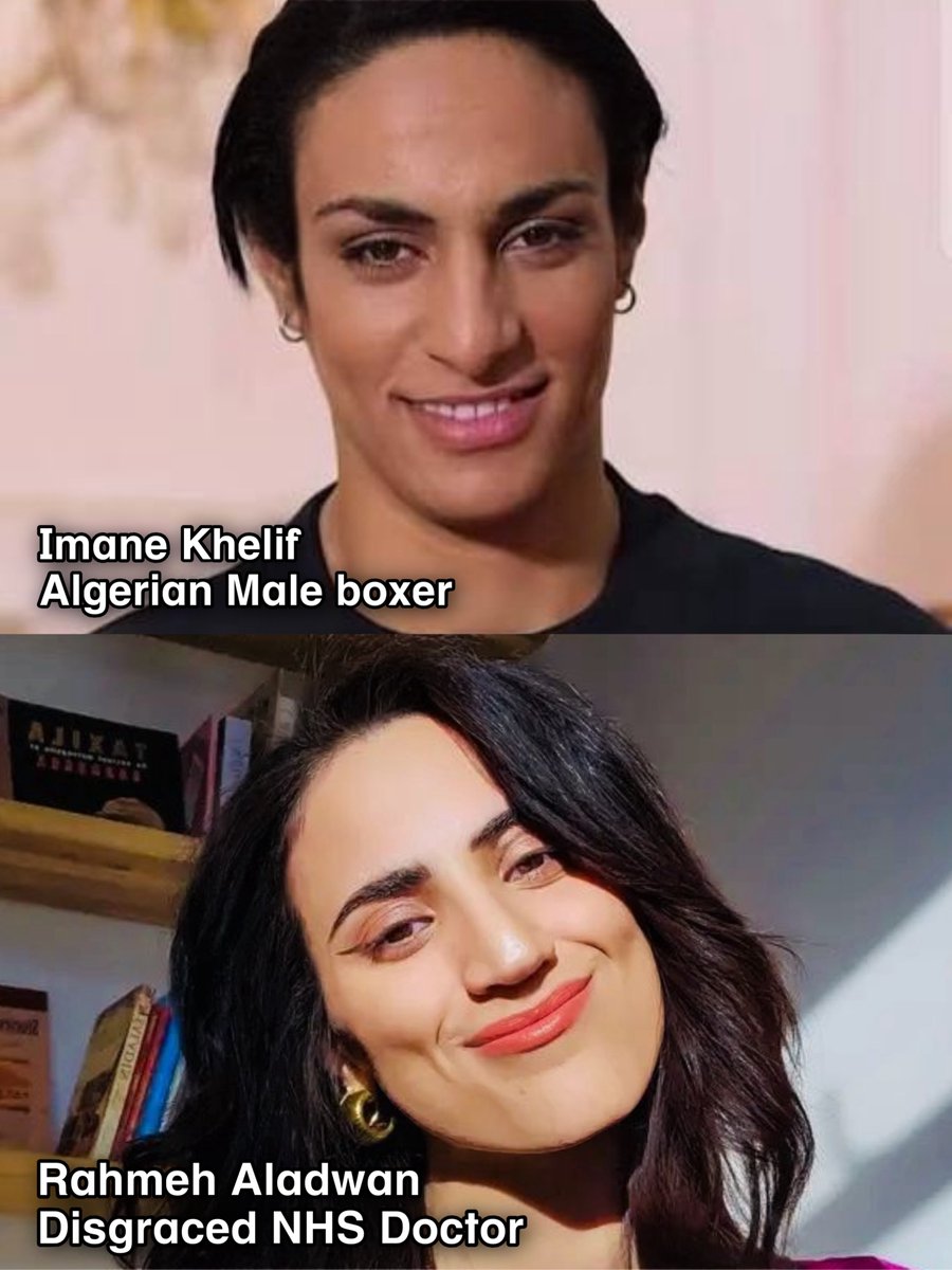 Caт Bee 🪶 tweet media