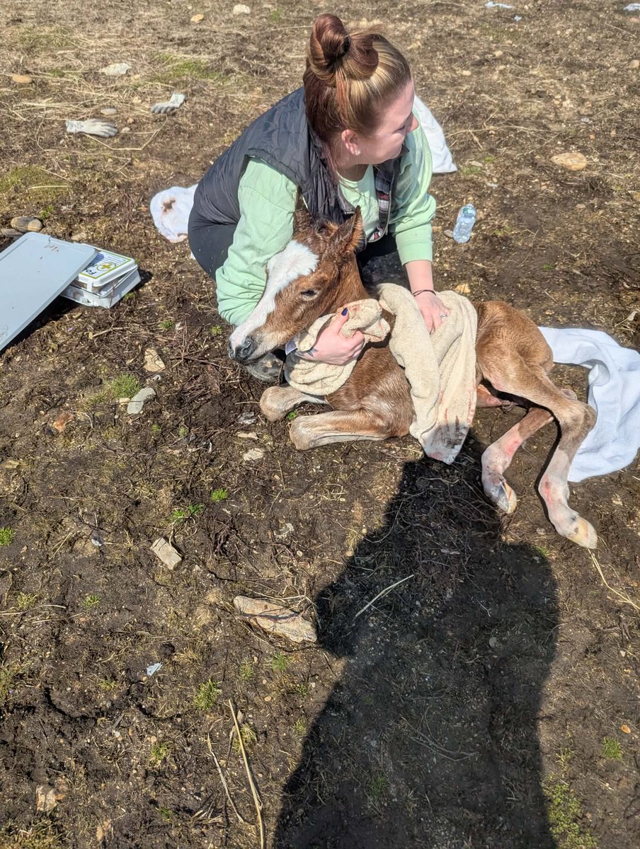 Mark Doherty tweet media