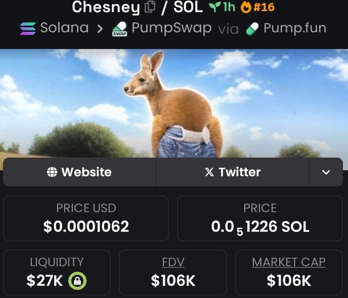 CAPTAIN 🚨🏴 tweet media