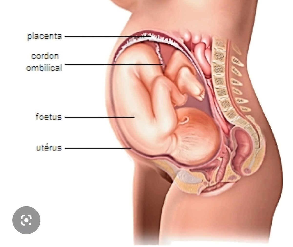 Bibishe Pascaline N tweet media