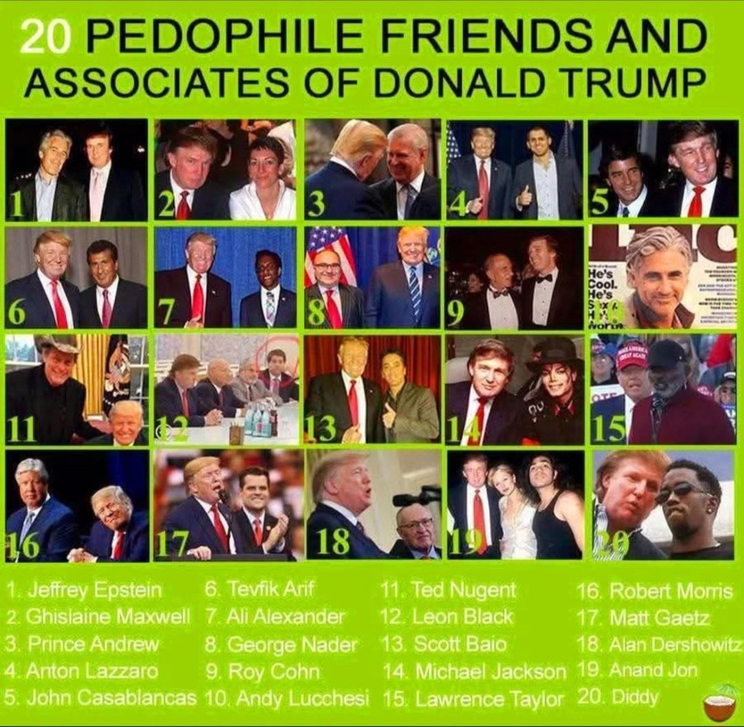 DogsAreBetter tweet media