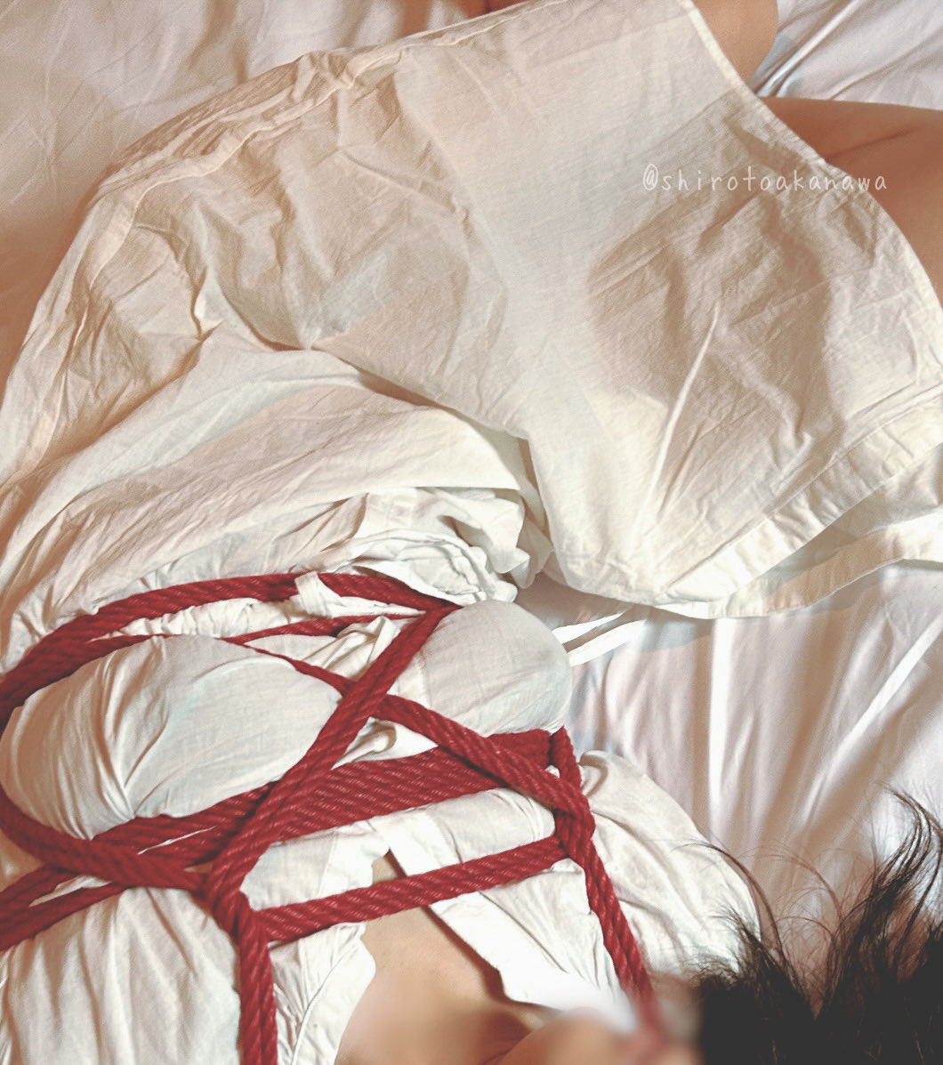 ほたる tweet media