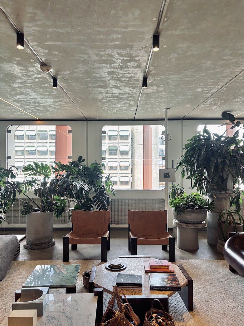 matheus carvalho tweet media