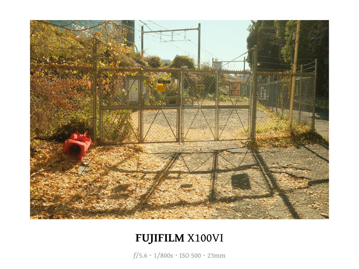 yu-san@街と人々を撮る tweet media