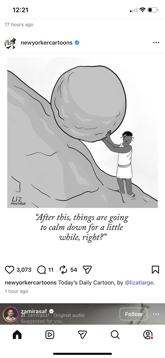 Mairav Zonszein מרב זונשיין tweet media