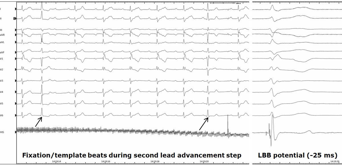 Giovanni Coluccia tweet media