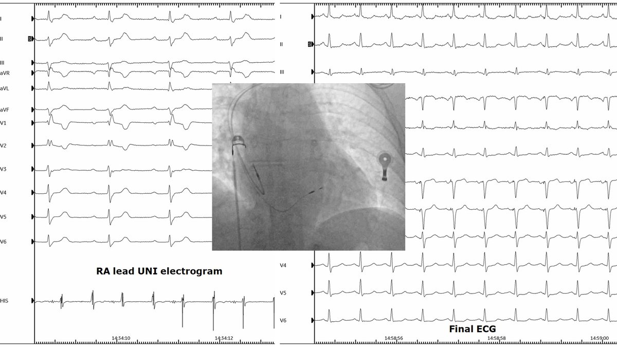 Giovanni Coluccia tweet media