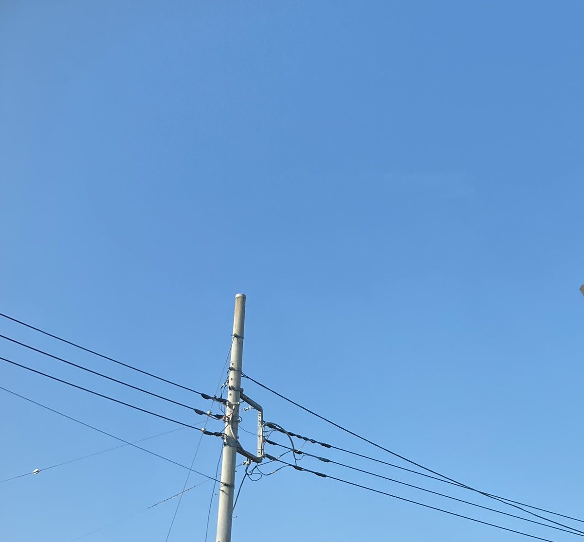 KTA@きょむ神 tweet media