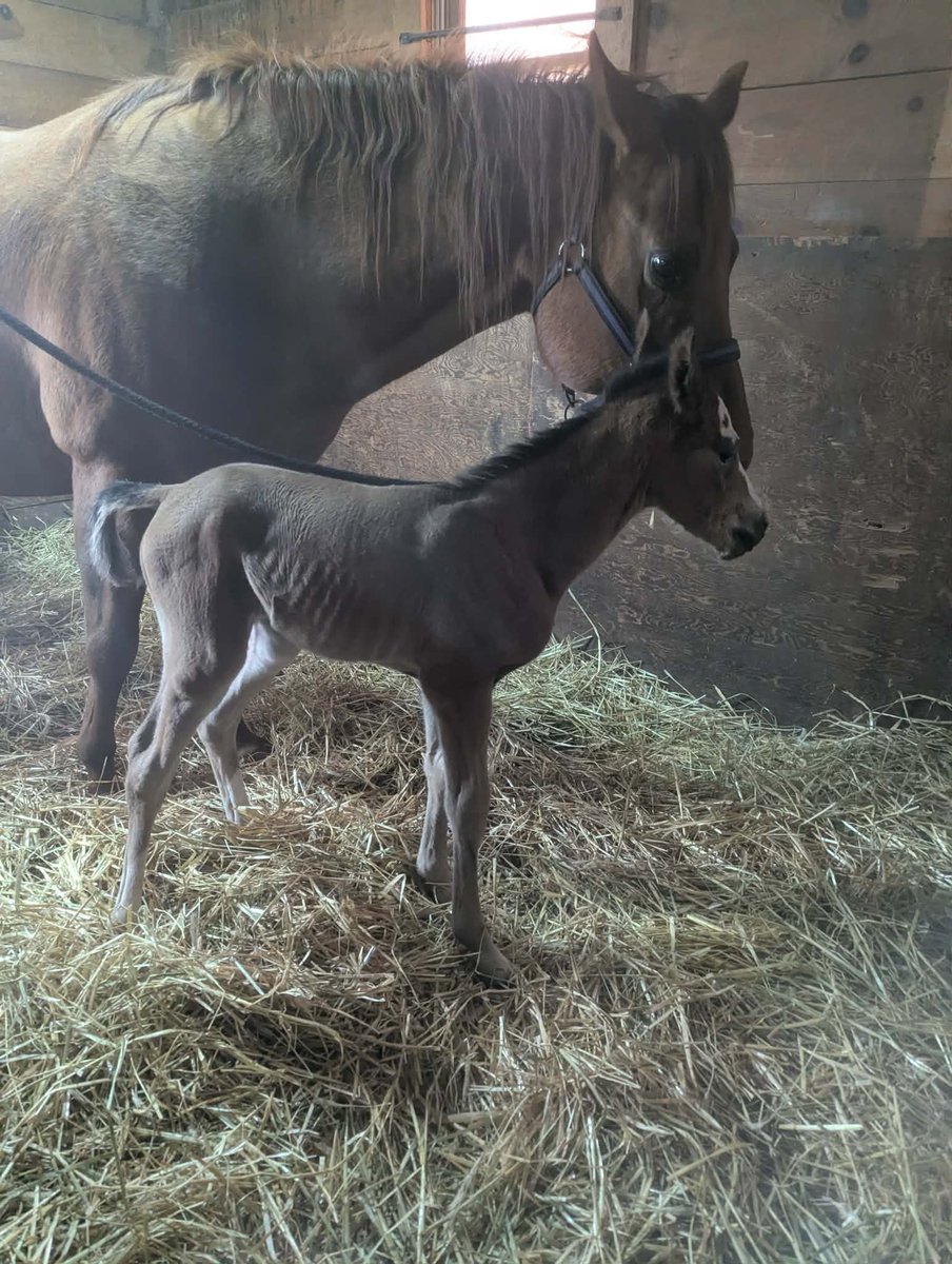 Mark Doherty tweet media