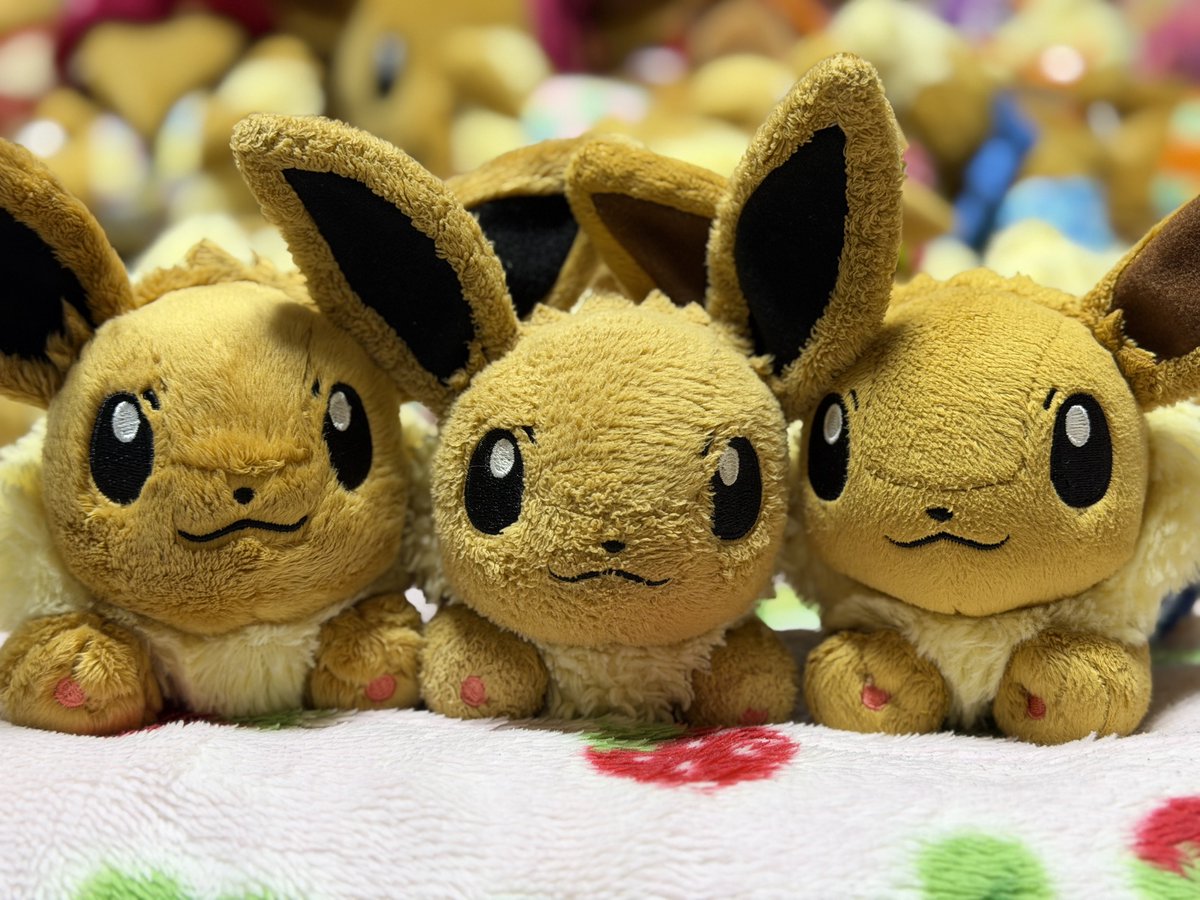 ぶいぶい♡⧫(◕ ˑ̫◕)⧫♡ tweet media