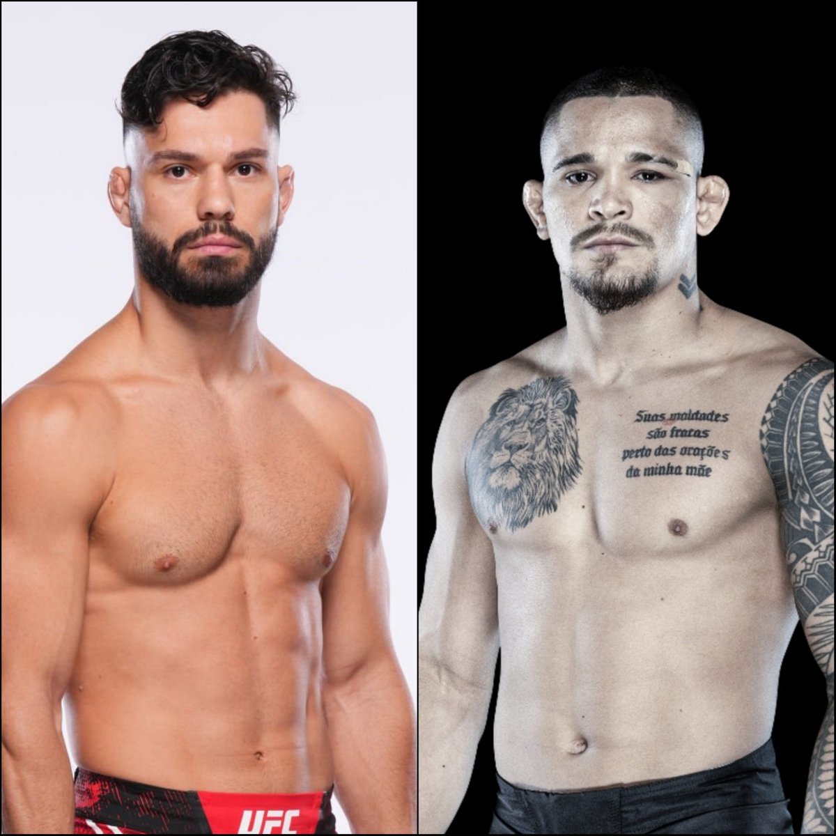 Marcel Dorff 🇳🇱🇮🇩 tweet media