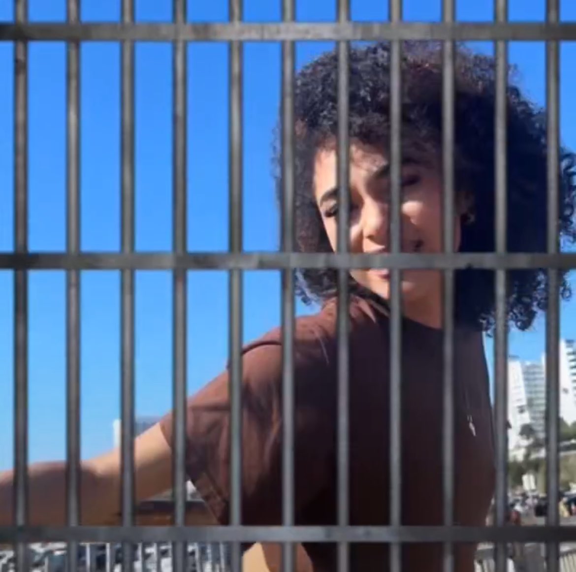 acervo deki tweet media