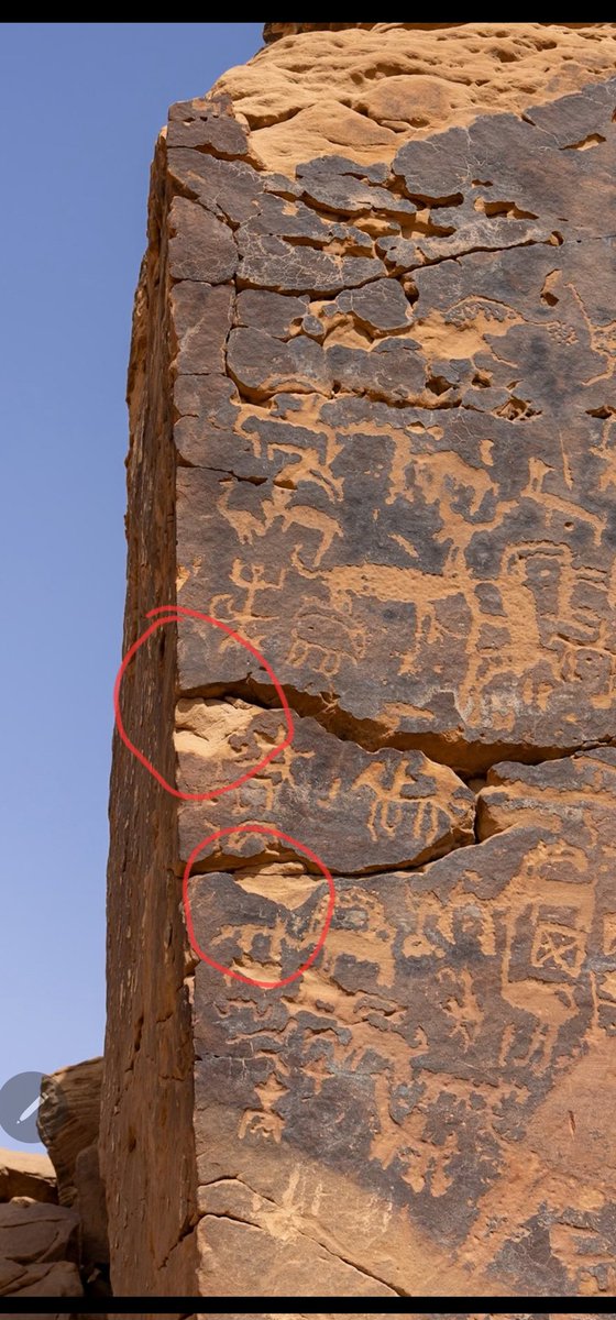 ThisMe4Sure's tweet photo. @pictureoflife1 يمكن معرفة ذلك من خلال درجة لون العتق في الأجزاء المكسوره مقارنه بدرجة لون النقش. ويبدو ان ��ذا الصدع حدث في زمن لاحق بعد زمن هذه النقوش. https://t.co/nvXJzHFu30